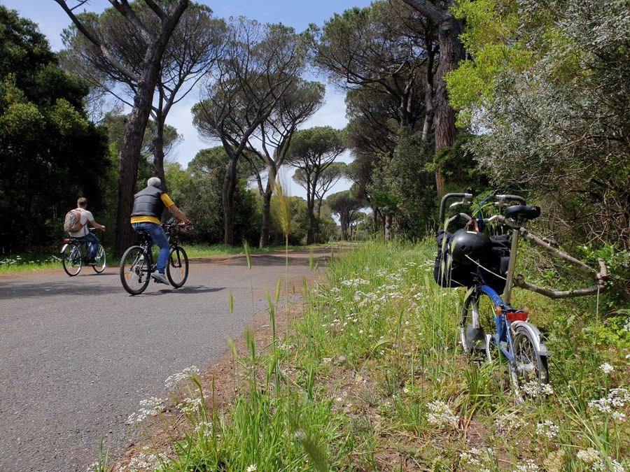 Cycling in the Castel Fusano pine forest